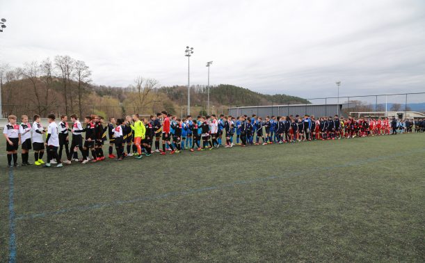 district des vosges de football